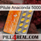 Anaconda 5000 Pill new05